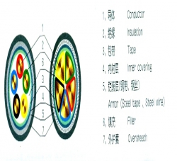 电缆结构图